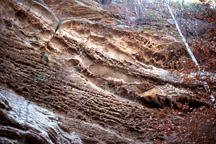 Pennsylvanian Sandstone near Twin Arches